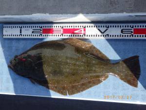 石川丸 釣果