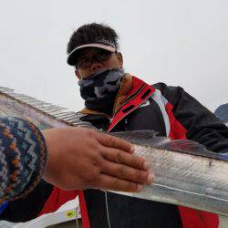 遊漁船 ニライカナイ 釣果