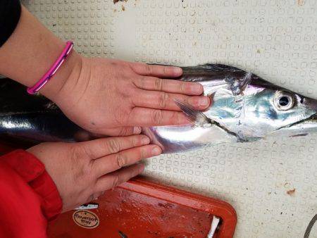 遊漁船　ニライカナイ 釣果