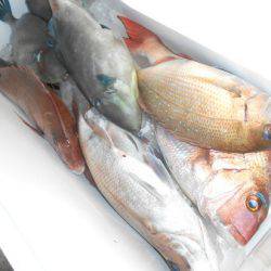 こうゆう丸 釣果