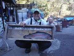 すそのフィッシングパーク 釣果