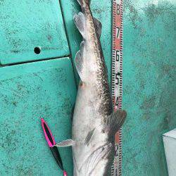 広進丸 釣果