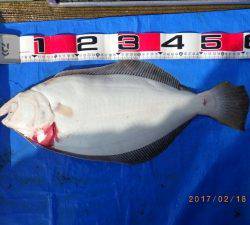 石川丸 釣果