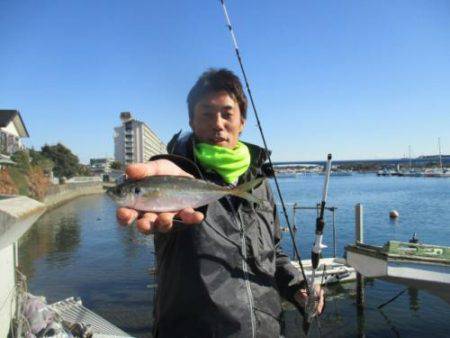 あい川丸 釣果