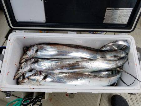 遊漁船 ニライカナイ 釣果