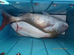石川丸 釣果