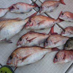 Fisherman Dreams DI 釣果