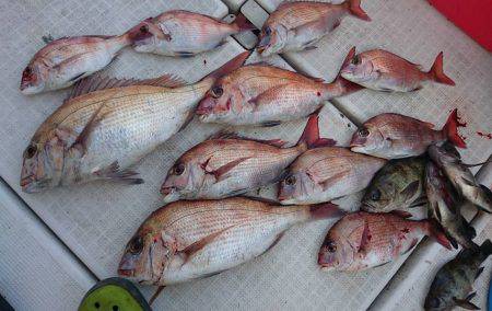 Fisherman Dreams DI 釣…