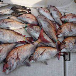 Fisherman Dreams DI 釣果