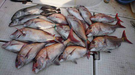 Fisherman Dreams DI 釣果