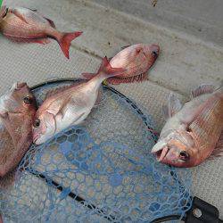 Fisherman Dreams DI 釣果