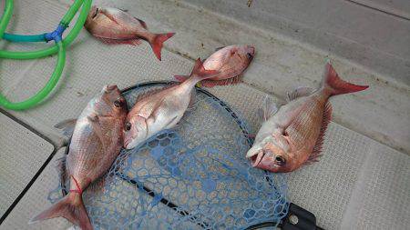 Fisherman Dreams DI 釣果