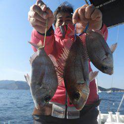 Fisherman Dreams DI 釣果