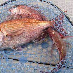 Fisherman Dreams DI 釣果