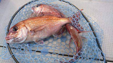 Fisherman Dreams DI 釣果