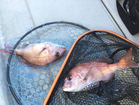 Fisherman Dreams DI 釣果