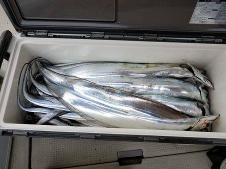 遊漁船 ニライカナイ 釣果