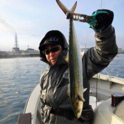 鯛紅丸 釣果