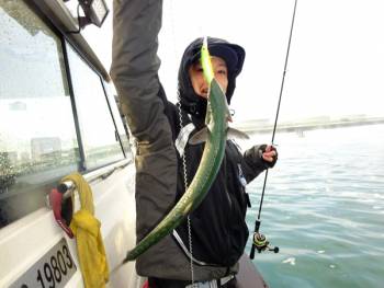 鯛紅丸 釣果
