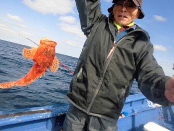 鯛紅丸 釣果