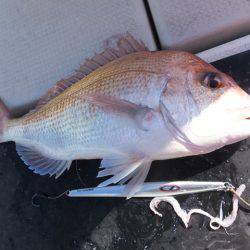 Hit Rush(ヒット ラッシュ） 釣果