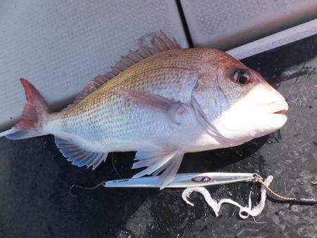 Hit Rush(ヒット ラッシュ） 釣果