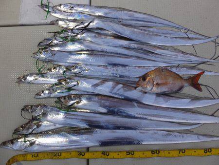 Hit Rush(ヒット ラッシュ） 釣果…