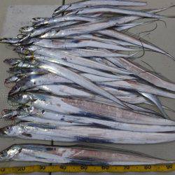 Hit Rush(ヒット ラッシュ） 釣果