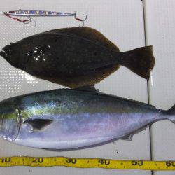 Hit Rush(ヒット ラッシュ） 釣果