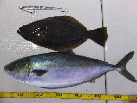 Hit Rush(ヒット ラッシュ） 釣果…