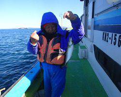 久里浜黒川本家 釣果