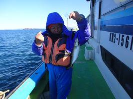 久里浜黒川本家 釣果