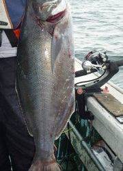 松福丸 釣果