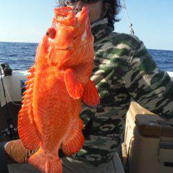 オーシャンパイオニア 釣果
