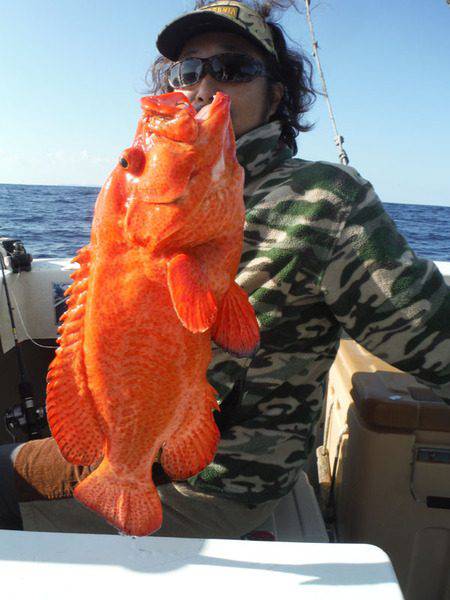 オーシャンパイオニア 釣果