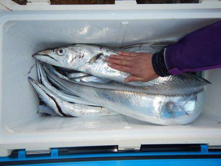 sea boss　シーボス 釣果