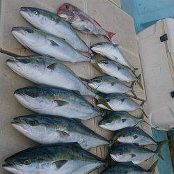 旭星釣りセンター 釣果