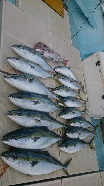 旭星釣りセンター 釣果