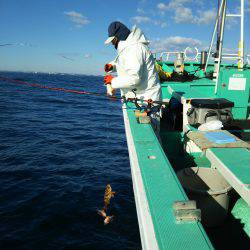モンロー号 釣果