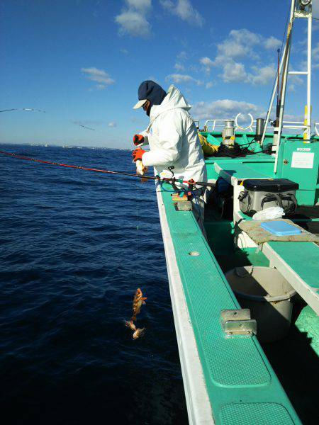 モンロー号 釣果