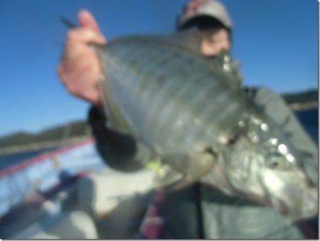 海正丸 釣果