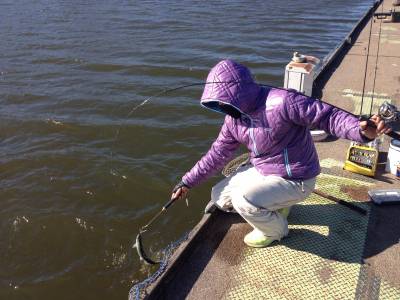 吉羽園 釣果