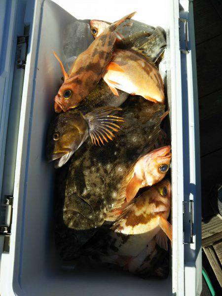 モンロー号 釣果