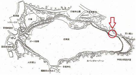 志高湖フィッシング 釣果