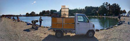 みどりフィッシングエリア 釣果