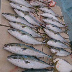 旭星釣りセンター 釣果