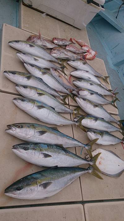 旭星釣りセンター 釣果