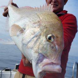 飛燕さくら丸 釣果