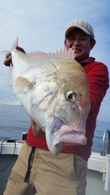飛燕さくら丸 釣果