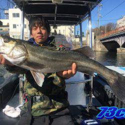オーシャンマスター 釣果